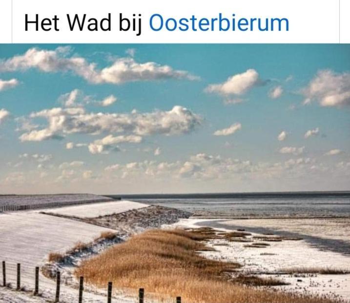 4-Persoons Vakantiehuisje Simmerwille Tzummarum Екстер'єр фото